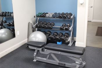 Free weights